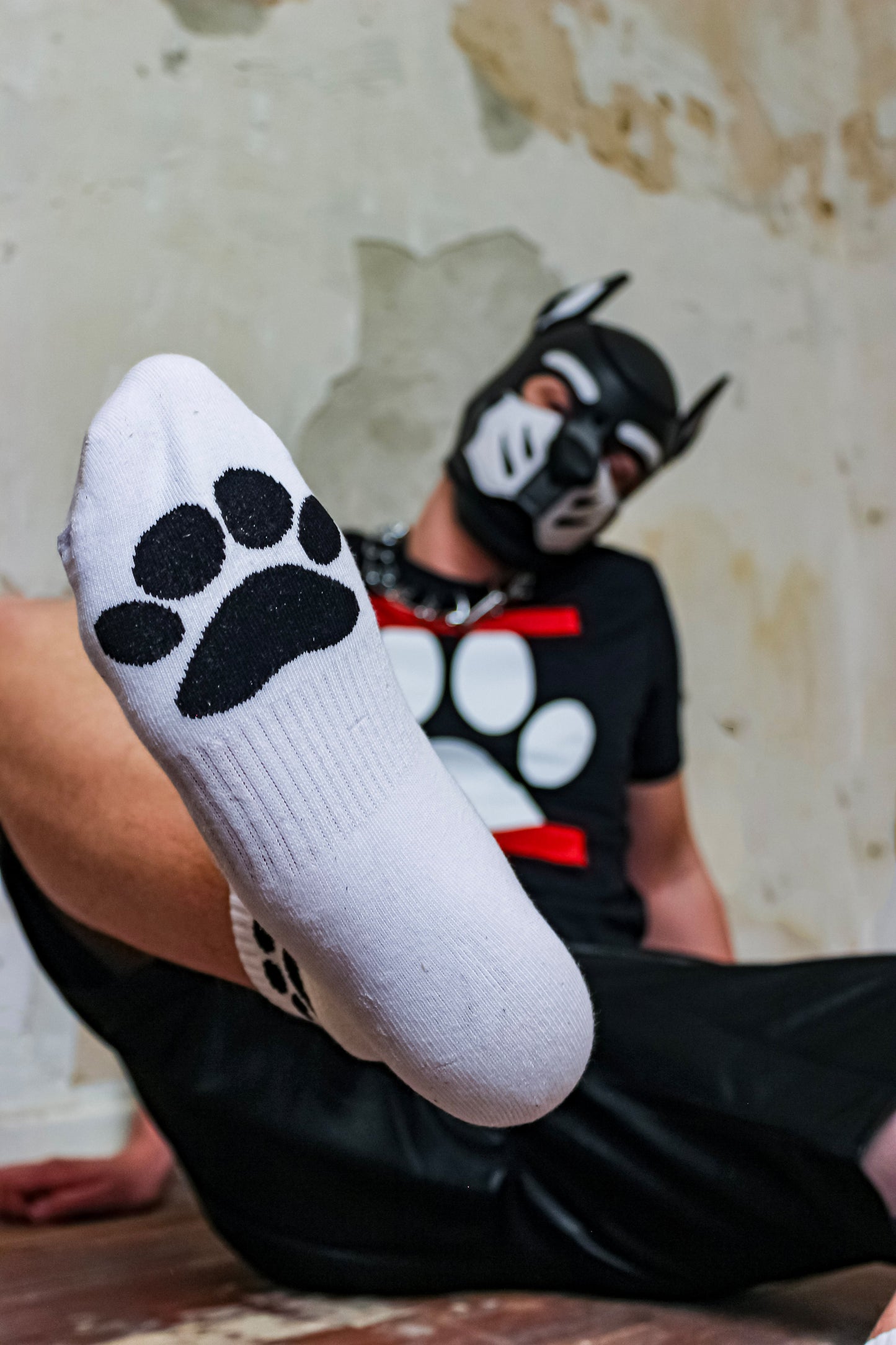 Sk8erboy® Puppy Socks.